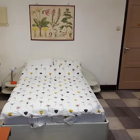 Peterson's Rooms&rentals *
